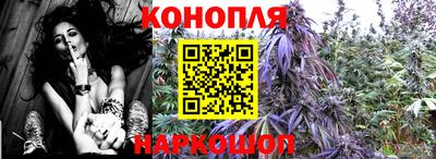 MDMA Гатчина
