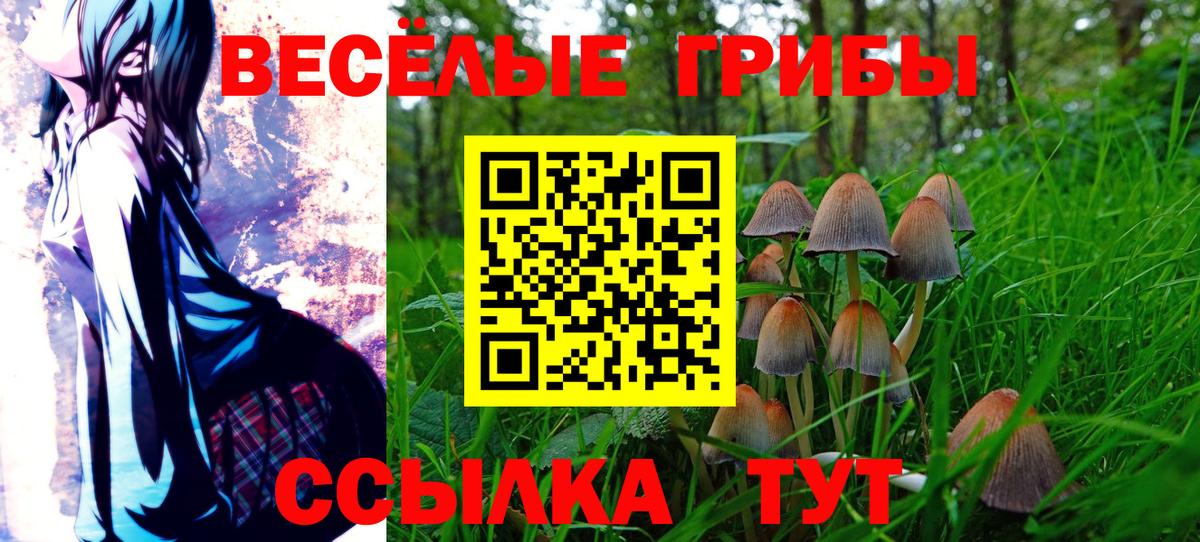Псилоцибиновые грибы MAGIC MUSHROOMS Грязи