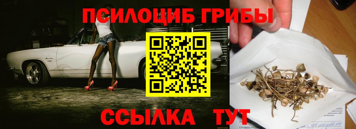 Грязи  Галлюциногенные грибы Magic Shrooms  Вход с VPN 